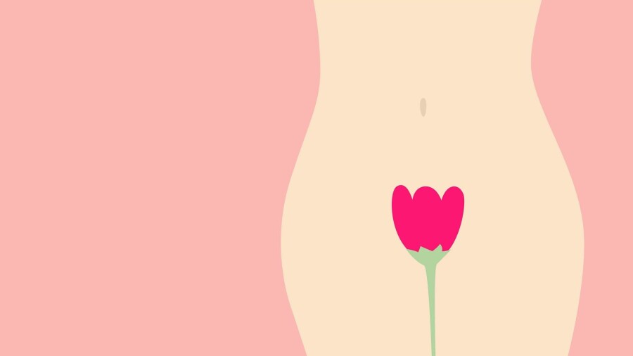 The structure of the vagina - what is the most delicate organ made of?