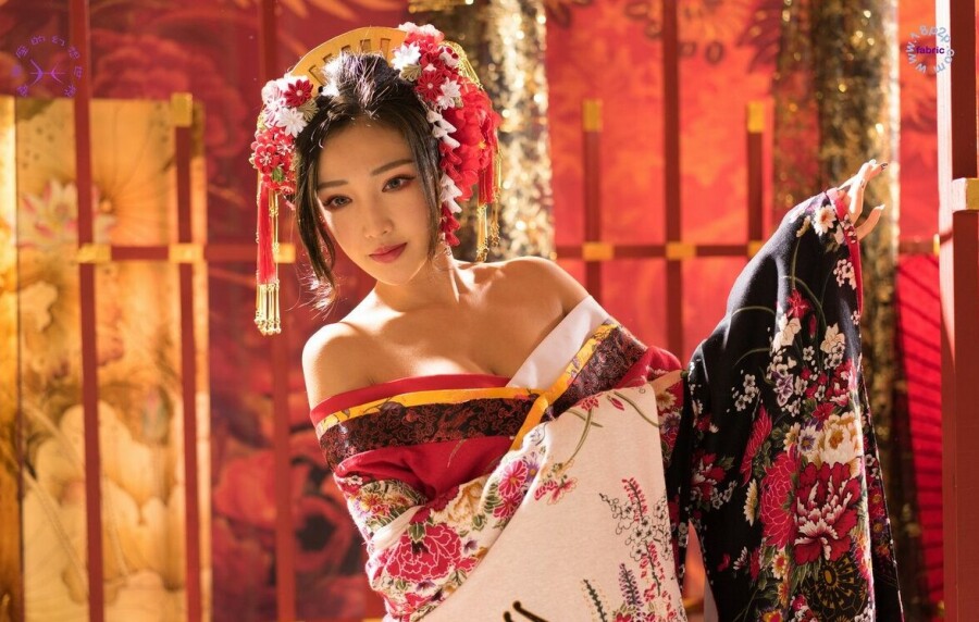 Who are hetaerae and Japanese geishas? Are there any differences between them ?